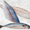 Frozen Norway And Japanese Mackerel produced in Vietnam for premium export markets