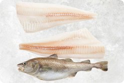 Frozen Atlantic And Pacific Cod product display produced in Vietnam