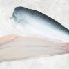Frozen Pangasius Fillet Skin On (Swai Fish) from Vietnam – Premium Display