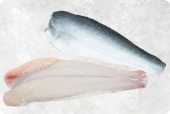 Frozen Pangasius Fillet Skin On (Swai Fish) from Vietnam – Premium Display