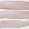 Frozen Pangasius Loin (Swai Fish) Displayed for Export Inspection in Vietnam