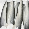 Vietnam Frozen Pangasius Skin (Swai Fish) Displayed for Export