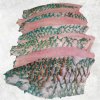 Vietnam Frozen Parrot Fish Fillet (Parrotfish) Display for Export