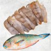 Vietnam Frozen Parrot Fish Whole Clean (Parrotfish) displayed for product showcase