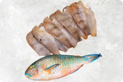Vietnam Frozen Parrot Fish Whole Clean (Parrotfish) displayed for product showcase