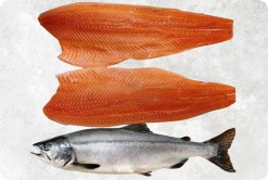 Frozen Pink Salmon premium display produced in Vietnam