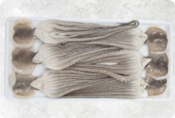 Vietnam Frozen Whole Clean Poulp Squid Long Leg (Frozen Whole Clean Mada Long Leg) Display