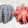 Vietnam Frozen Whole Clean Octopus (Whole Clean Octopus) Displayed for B2B Buyers