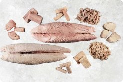 Vietnam Frozen Pre Cooked Yellowfin Tuna Display