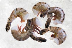 Vietnam Frozen Raw HLSO And HLSO EZP Black Tiger Shrimp on Display
