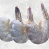 Frozen Raw Hlso Vannamei Shrimp (EZP) – Premium Display from Vietnam
