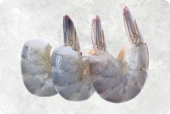 Frozen Raw Hlso Vannamei Shrimp (EZP) – Premium Display from Vietnam