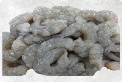 Frozen Raw Pd Vannamei Shrimp Display for Export from Vietnam