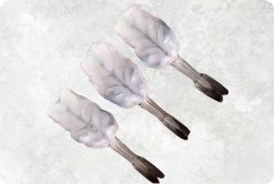 Frozen Raw PDTO Butterfly Vannamei Shrimp Display from Vietnam
