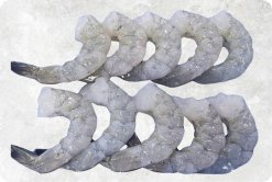Frozen Raw Pdto Vannamei Shrimp Display – Premium Vietnam Product