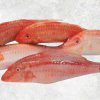 Vietnam Frozen Red Mullet Whole Clean displayed for premium seafood showcase