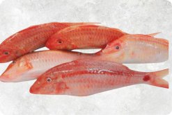 Vietnam Frozen Red Mullet Whole Clean displayed for premium seafood showcase