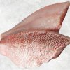 Vietnam Frozen Red Snapper Fillet on display for quality presentation