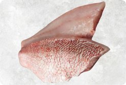 Vietnam Frozen Red Snapper Fillet on display for quality presentation