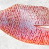 Vietnam Frozen Red Tilapia Fillet Skin On on display