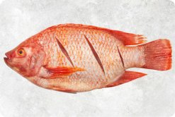 Vietnam Frozen Red Tilapia Whole Round And Whole Cleaned on Display