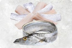 Vietnam Frozen Ribbon Fish Fillet displayed for premium quality presentation