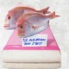 Vietnam Frozen Seabream Surimi beautifully displayed for export showcase