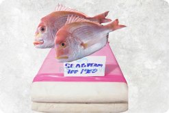 Vietnam Frozen Seabream Surimi beautifully displayed for export showcase