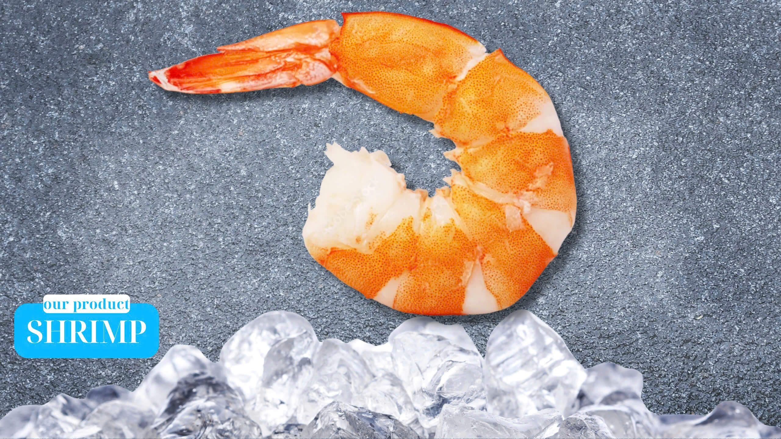 Premium Shrimp Supplier from Vietnam – Farmed & Wild-Caught Varieties