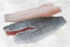 Vietnam Frozen Snakehead Fish Fillet premium display for export