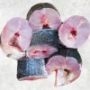 Vietnam Frozen Snakehead Fish Steak displayed for product showcase