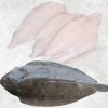 Frozen Sole Fish premium display produced in Vietnam