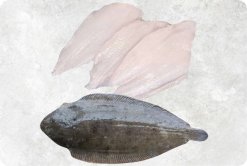 Frozen Sole Fish premium display produced in Vietnam
