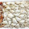 Frozen Swimming Crab Meat beautifully displayed for export from Vietnam