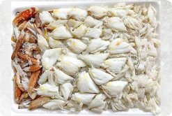 Frozen Swimming Crab Meat beautifully displayed for export from Vietnam