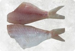 Vietnam Frozen Threadfin Bream Fillet Display for B2B Buyers
