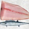 Vietnam Frozen Wahoo Fillet beautifully displayed for presentation