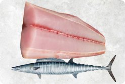 Vietnam Frozen Wahoo Fillet beautifully displayed for presentation