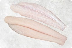 Frozen Pangasius Fillet Well Trimmed (Swai Fish) from Vietnam on Display