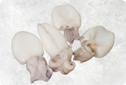 Vietnam Frozen Whole Clean Baby Cuttlefish Product Display