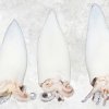 Vietnam Frozen Whole Clean Loligo Squid Tube and Tentacles Display