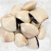 Frozen Cooked Whole Shell White Clam displayed for export, produced in Vietnam