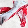 Vietnam Frozen Yellowfin Tuna Kama Displayed for Buyers