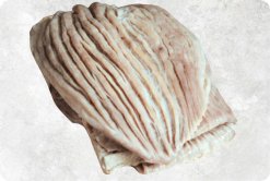 Vietnam Frozen Yellowfin Tuna Stomach Displayed for Export Showcase