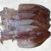 Half dried Loligo Squid displayed for sale produced in Vietnam
