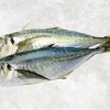 Vietnam Frozen Round And Yellow Tail And Layang Scad Whole Round beautifully displayed for buyers