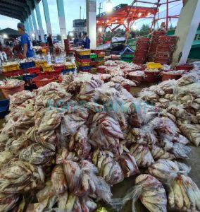 Fresh fish raw material inspection in Vietnam processing monitoring