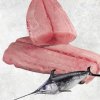 Vietnam Frozen Swordfish Loin And Chunk premium display for seafood buyers