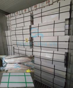 Loading marine fish products into container under QC supervision