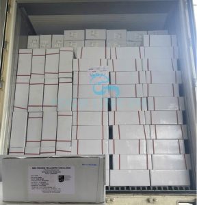 Loading yellowfin tuna products into container for export
